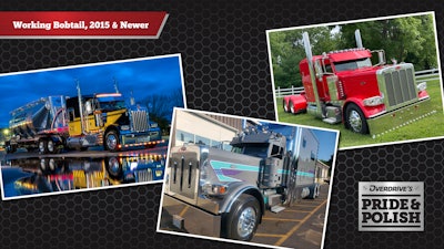 Pride & Polish Working Bobtail 2015 and Newer finalists