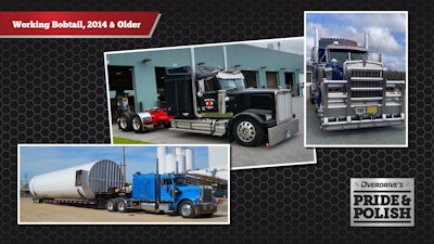 Pride & Polish Working Bobtail 2014 and Older finalists