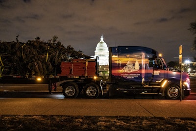 U.S. Capitol Christmas Tree in Washington, D.C., at night