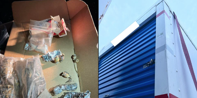 georgia truck driver drug bust