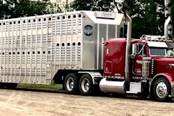 Billy Loewen's 1993 Peterbilt 379L