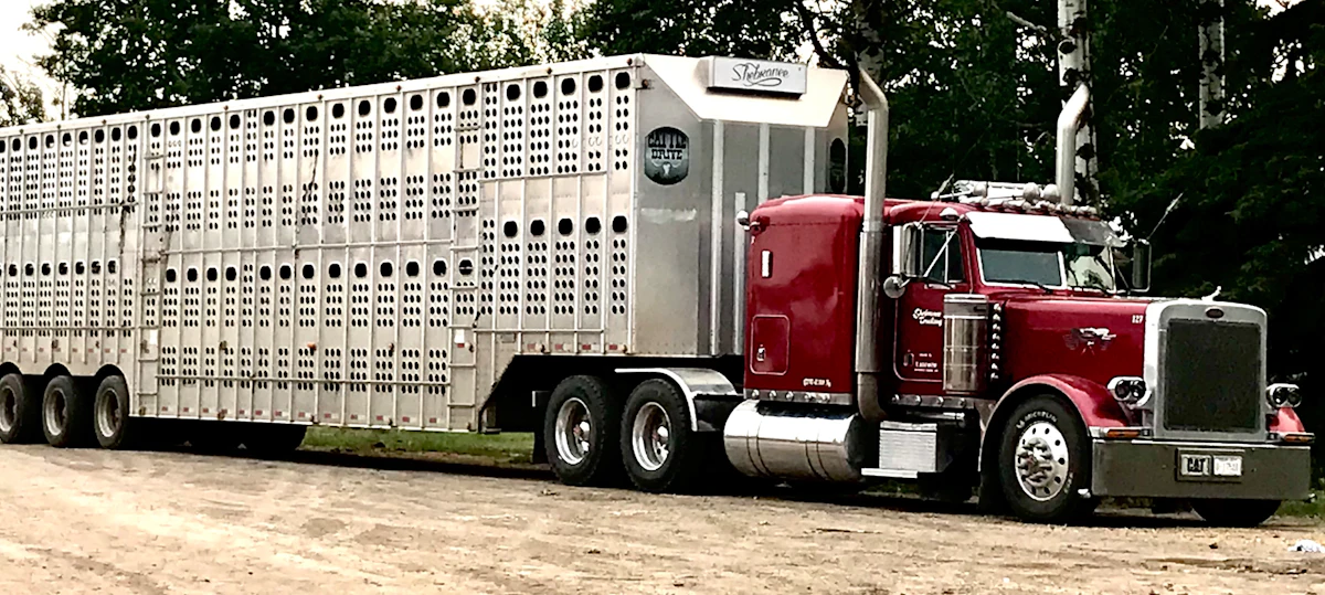 Billy Loewen's 1993 Peterbilt 379L - Vimarsana News