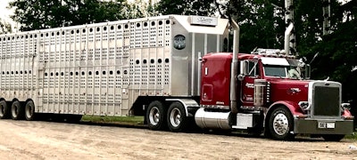 Billy Loewen's 1993 Peterbilt 379L