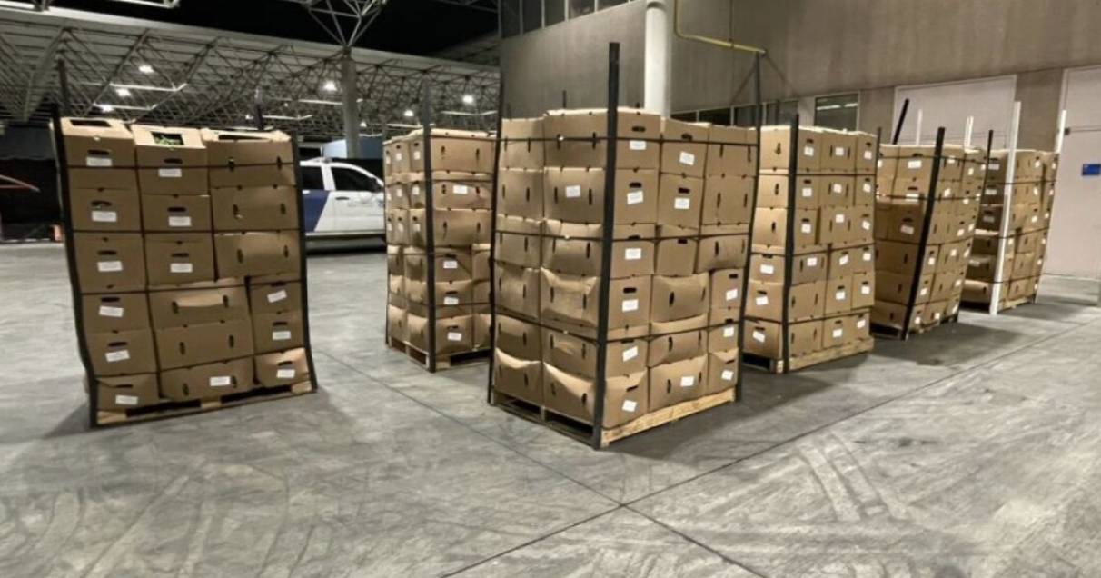 CBP fentanyl seizure at Otay Mesa