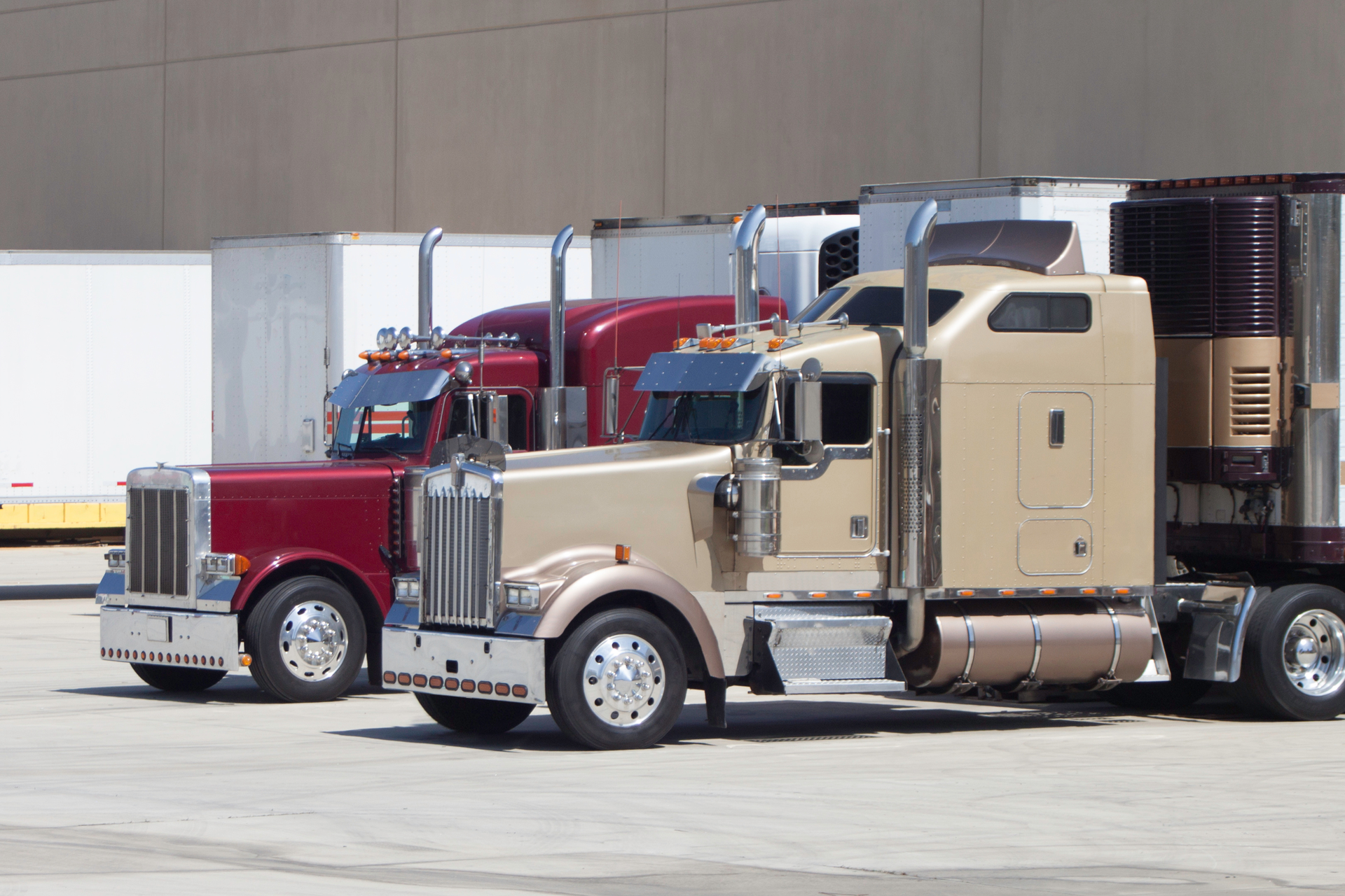 trucks backed to dock
