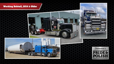 2022 Pride & Polish Working Bobtail finalists