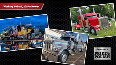 2022 Pride & Polish Working Bobtail finalists