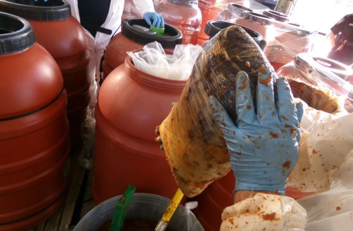 $10M in meth/cocaine hidden in jalapeno paste seized at border - Vimarsana News