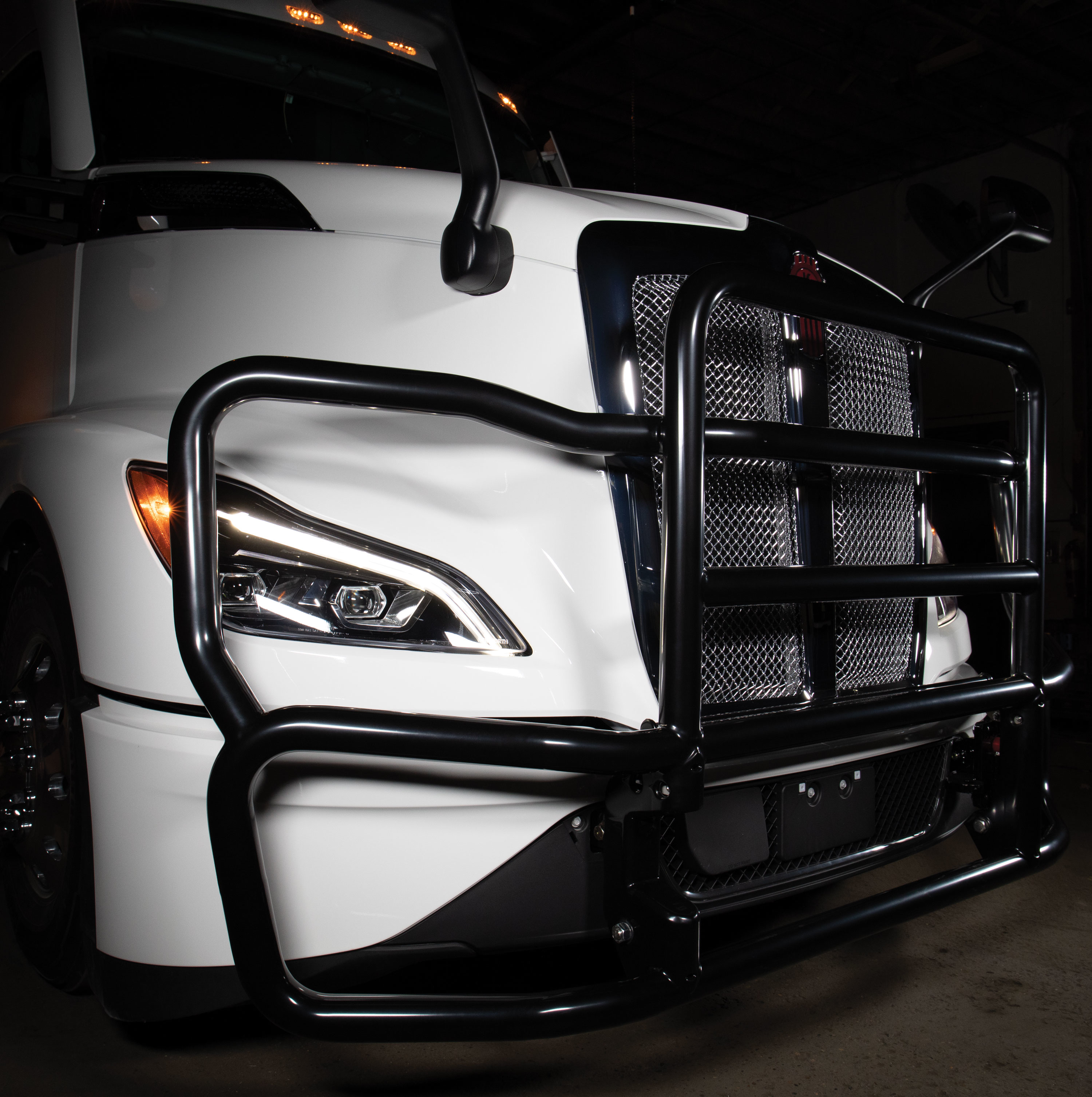 Ex-Guard HD-495 grille guard