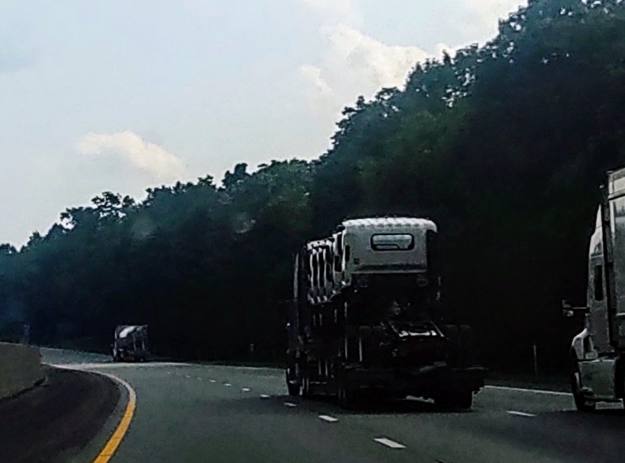 Pibby Backer On Highway