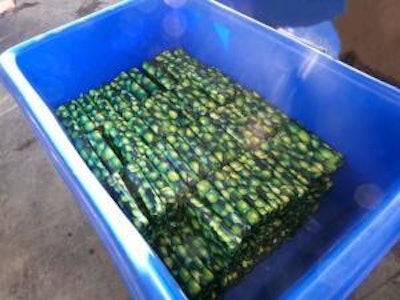 Fake shipment of limes drug smuggling