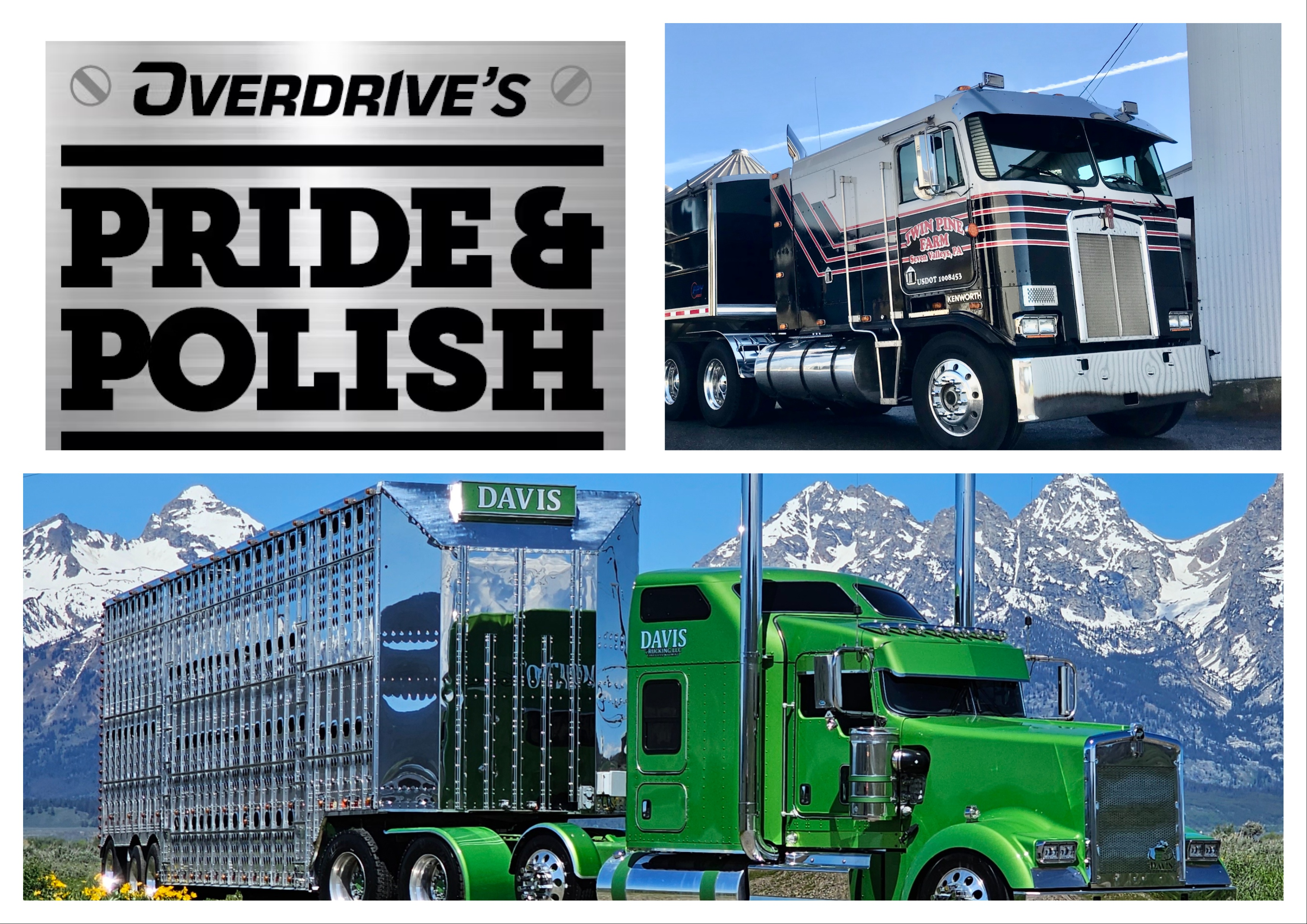 Mix Collage 15 Jul 2024 01 40 Pm 4156