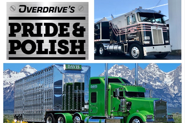 Mix Collage 15 Jul 2024 01 40 Pm 4156