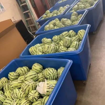 Drugs found in load of watermelons