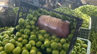 Meth found in load of fresh tomatillos
