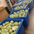 Drugs found in load of watermelons