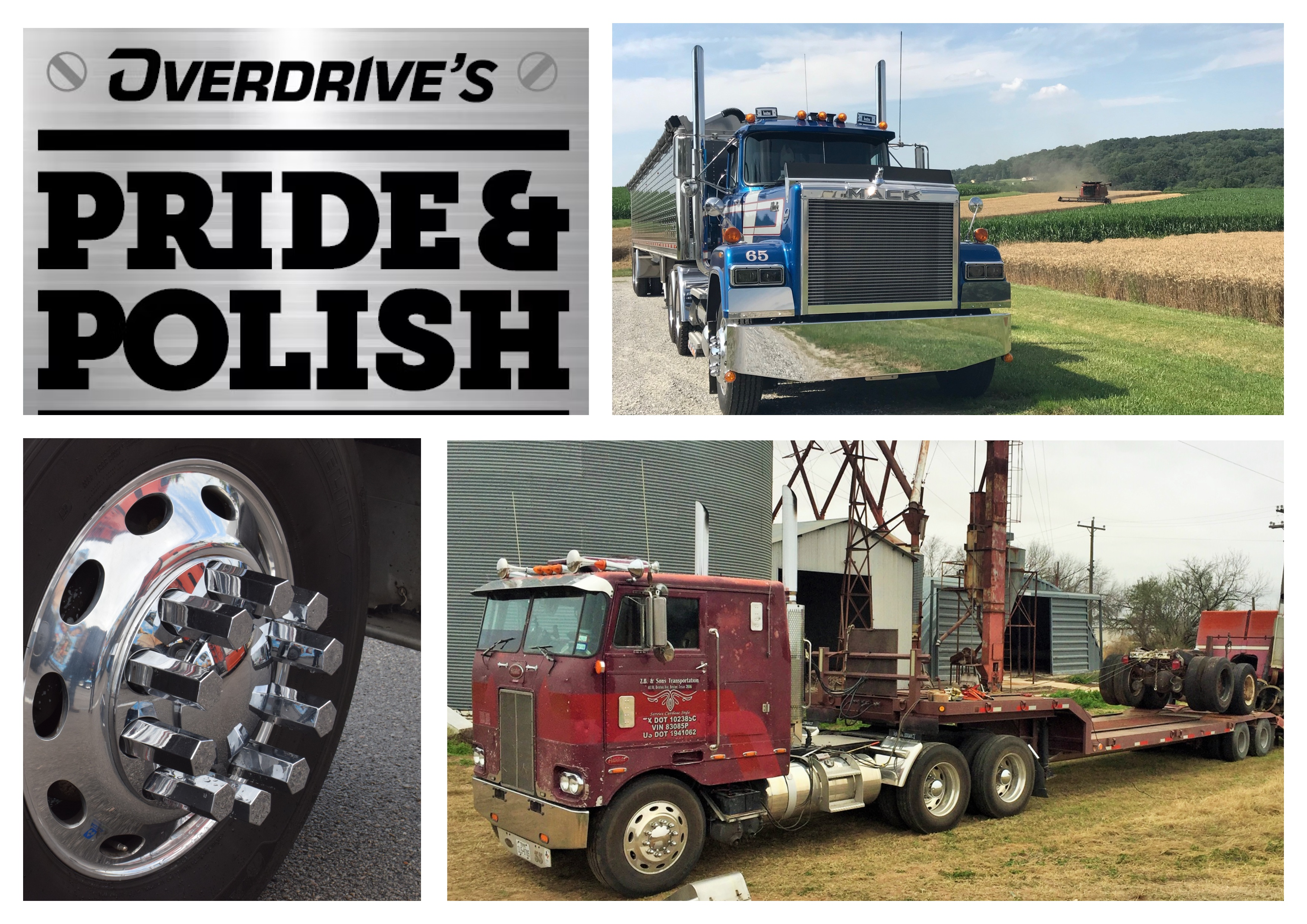 Mix Collage 05 Sep 2024 11 12 Am 5532