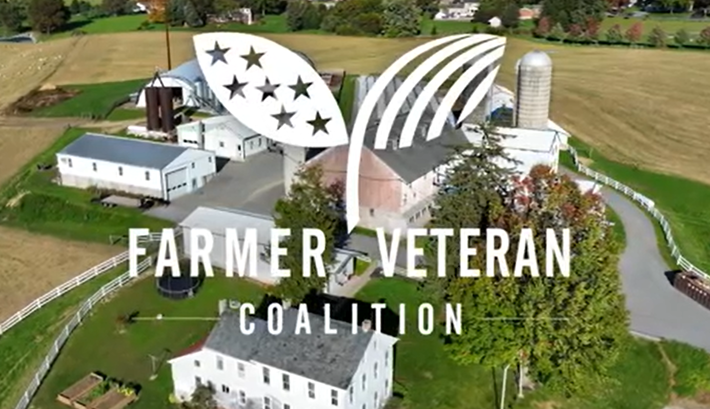 Screenshot 2024 10 15 094647