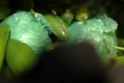 bundles of meth in shipment of peppers