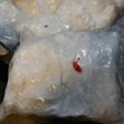 Meth found in crushed marble load