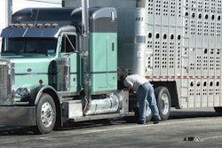 Livestock truck driver pre-trip