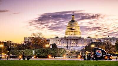 U.S. Capitol Christmas Tree at U.S. Capitol