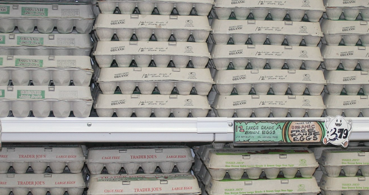 Screenshot 2025 02 10 At 4 23 30 Pm