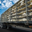 chicken truck on highway