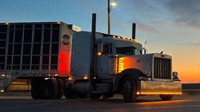 Hunter Hubbard's 1998 Peterbilt 379