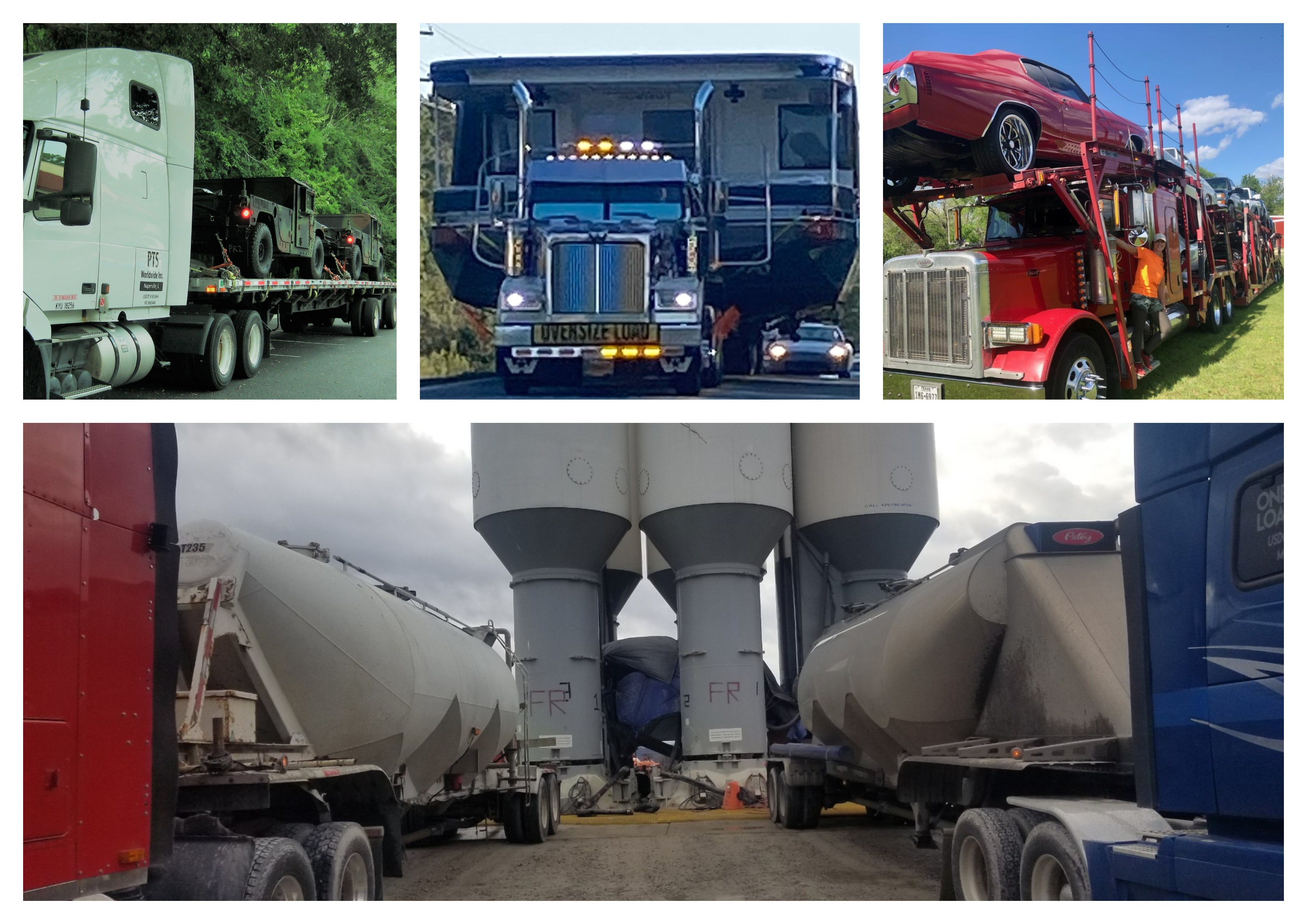 Niche hauls collection