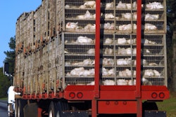 chicken truck on highway