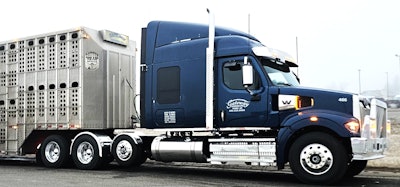 Murchison's hopeful to be back at the helm of this Western Star in short order.