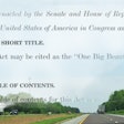 Big And Beautiful Composite