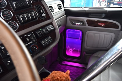 Bunny Barney Viewed From Inside