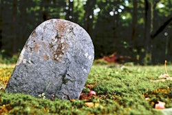 500px Photo (26110865)