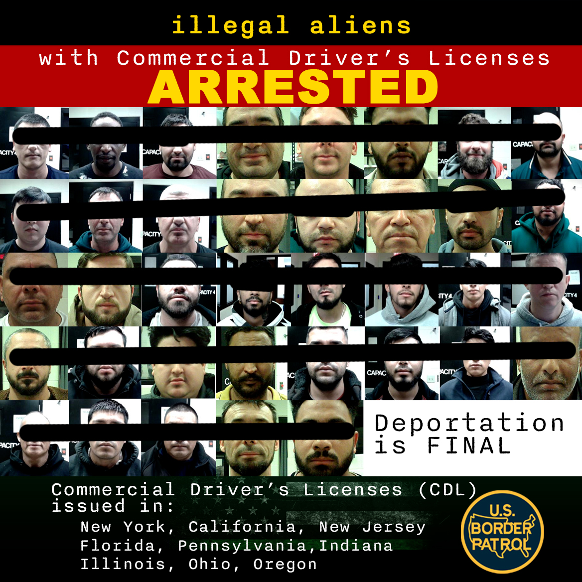 Border Patrol Ny Arrests