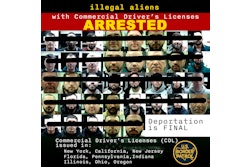 Border Patrol Ny Arrests