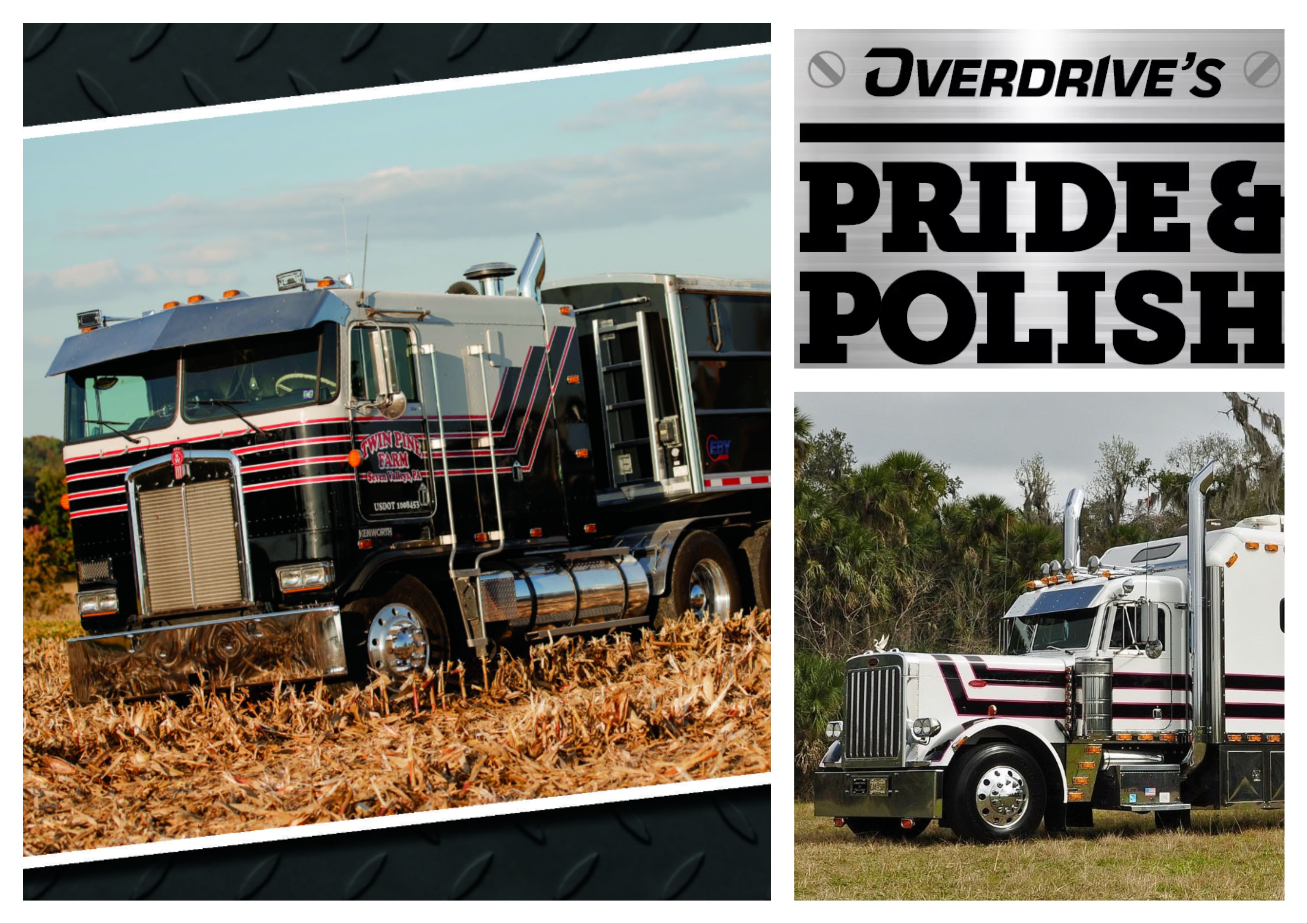 Mix Collage 05 Nov 2025 10 42 Am 1862