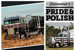 Mix Collage 05 Nov 2025 10 42 Am 1862