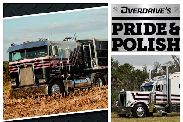 Mix Collage 05 Nov 2025 10 42 Am 1862