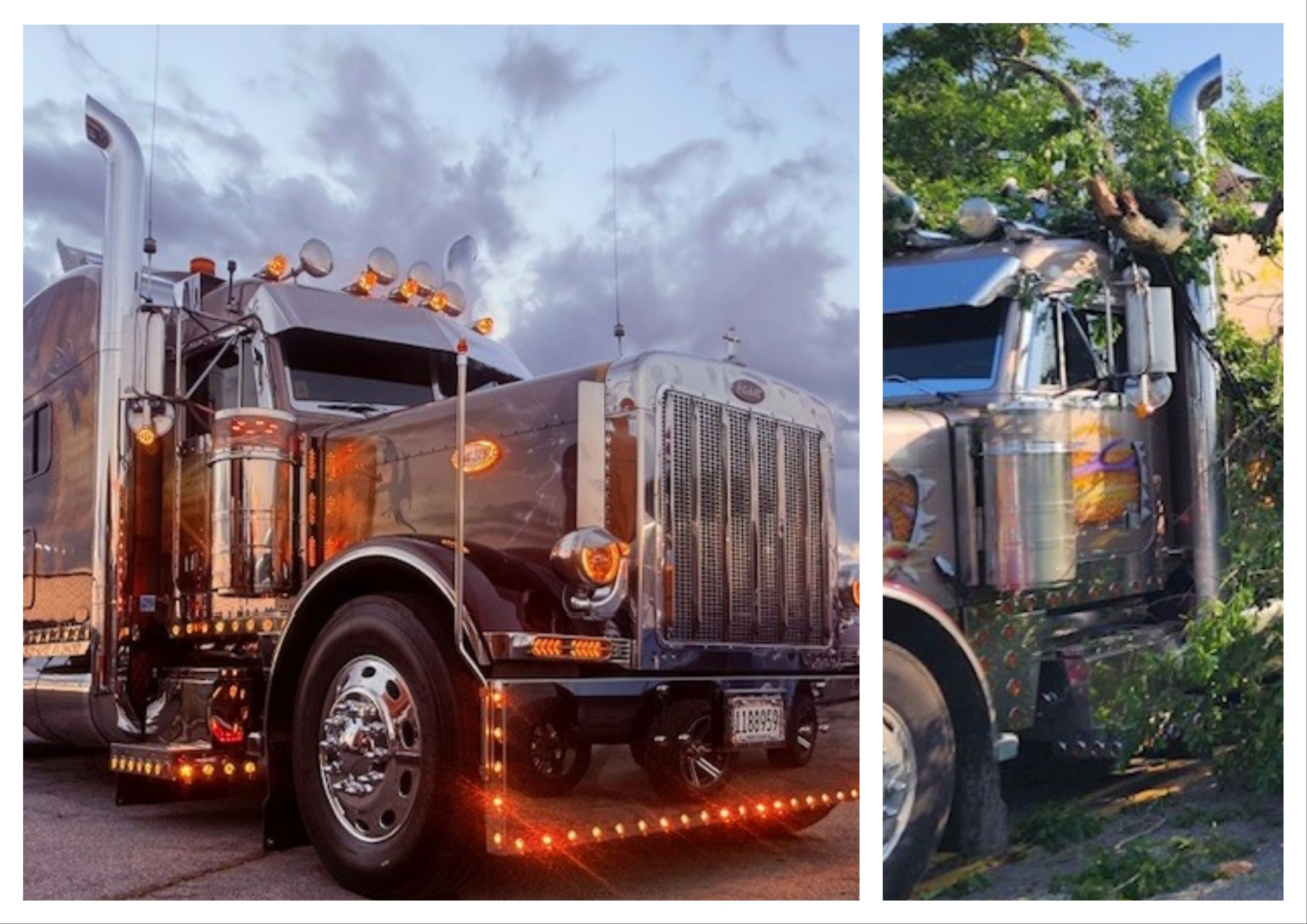 Mix Collage 05 Dec 2025 08 25 Am 9358