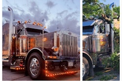 Mix Collage 05 Dec 2025 08 25 Am 9358