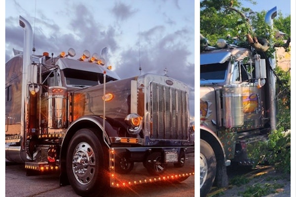 Mix Collage 05 Dec 2025 08 25 Am 9358