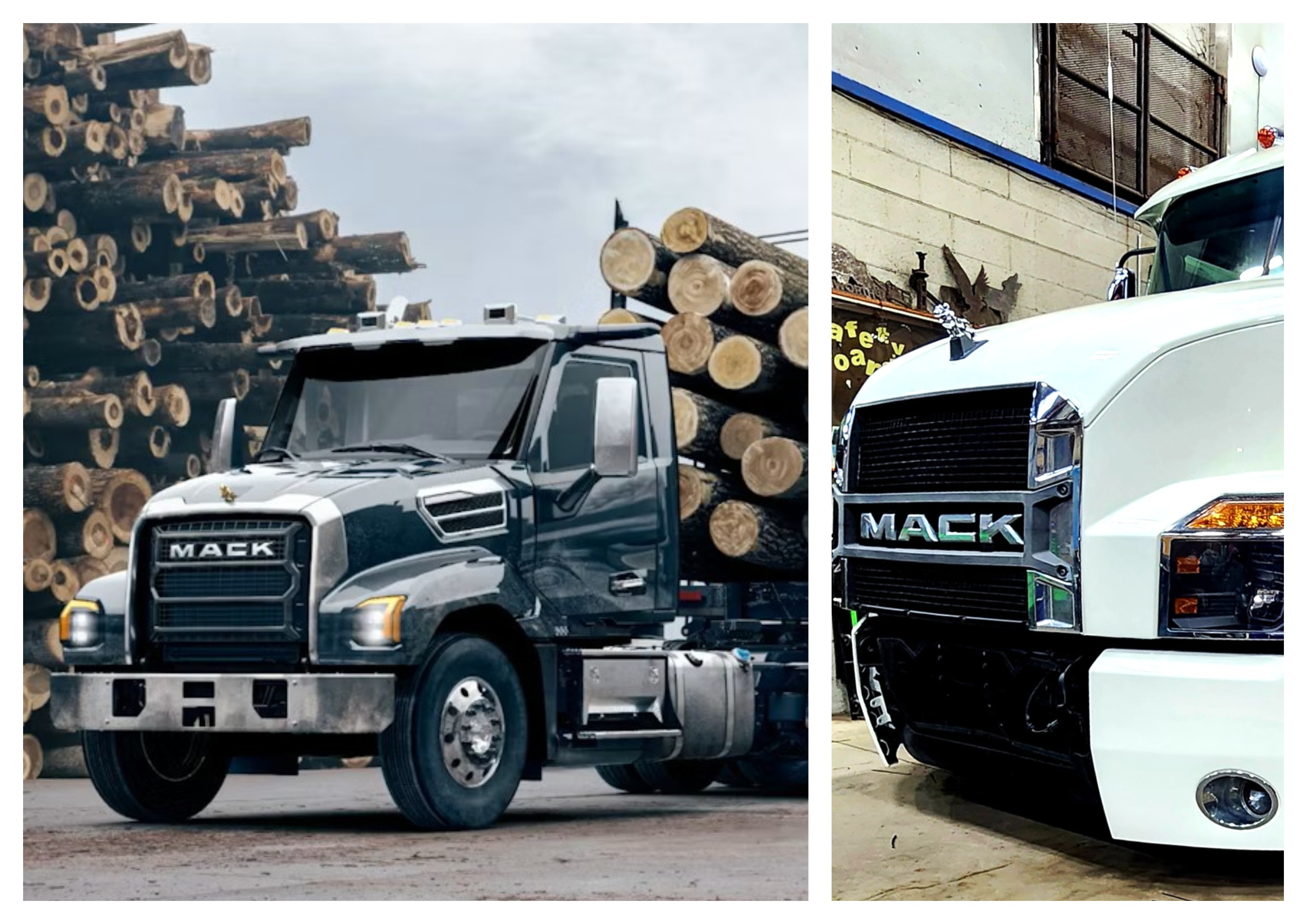 Mix Collage 04 Mar 2026 10 37 Am 9119