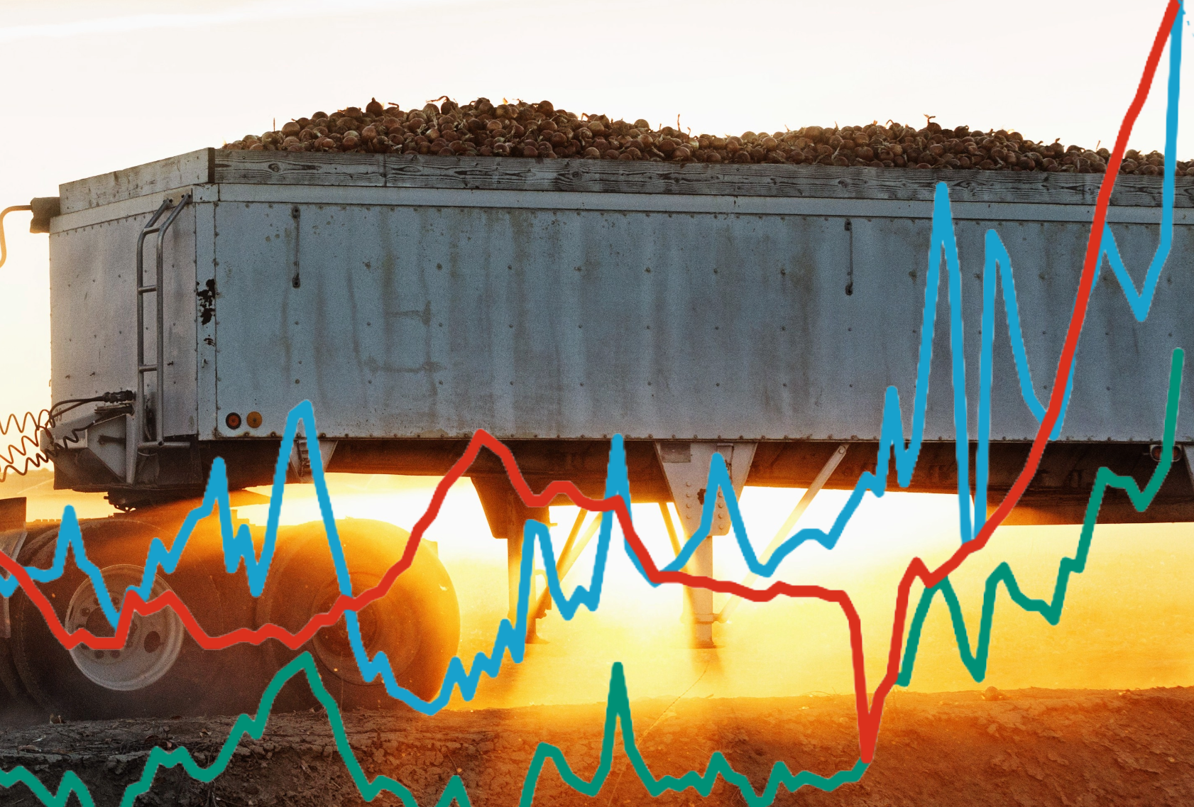 Rates Gold Rush