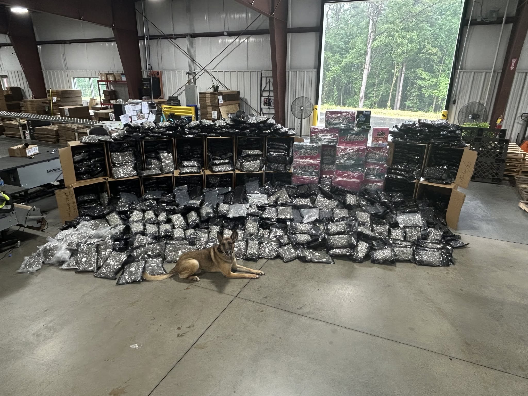 Ga Drug Bust