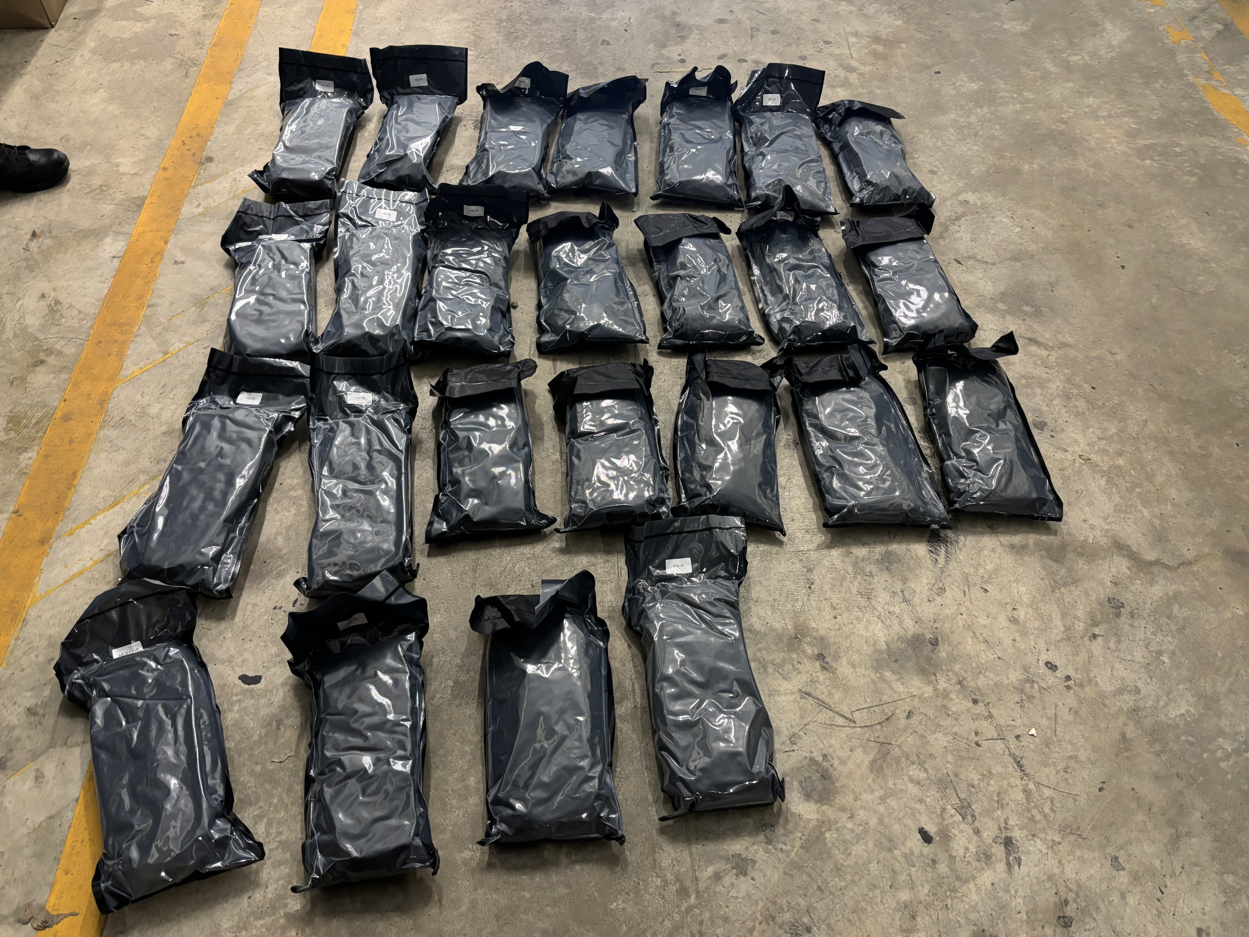 Michigan Drug Bust