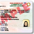 North Dakota non-domiciled commercial driver license sample with personal identification details and security features