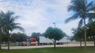 Red and white semi-truck parked in a grassy park area with palm trees and blue sky