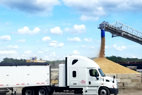 White semi-truck loading grain from industrial conveyor system at agricultural facility